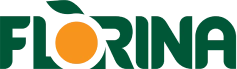 Silver partner logo