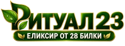 Silver partner logo